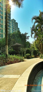 北京小區園林綠化工程施工全解析 專業公司、可靠生產與合理價格