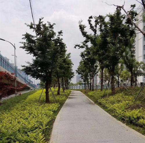 匠心鑄綠韻，昆山石林綠化有限責(zé)任公司參評2017全國風(fēng)景園林工程項(xiàng)目紀(jì)實(shí)